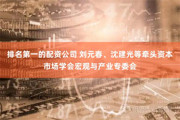 排名第一的配资公司 刘元春、沈建光等牵头资本市场学会宏观与产业专委会